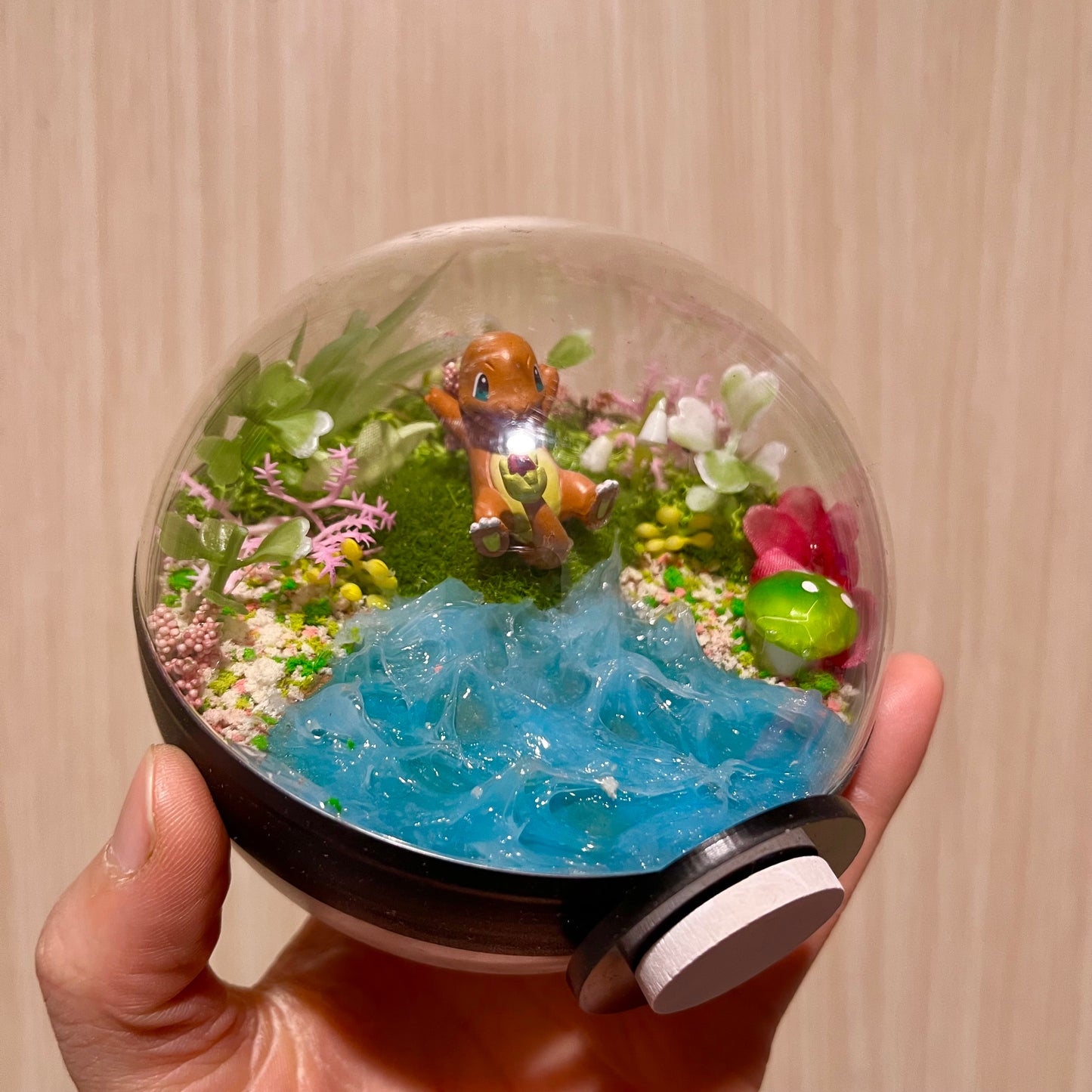 Charmander Riverside Pokeball Terrarium *discount for older design*