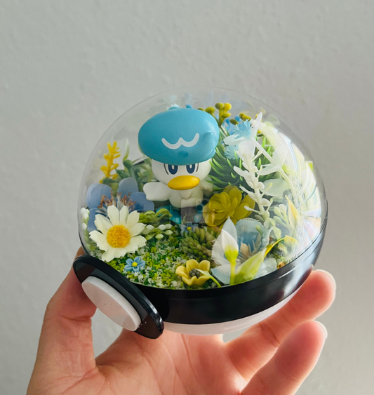 Quaxly Pokeball Terrarium