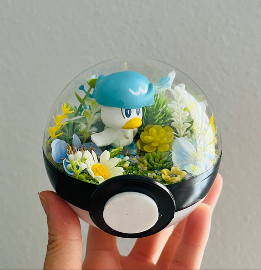 Quaxly Pokeball Terrarium