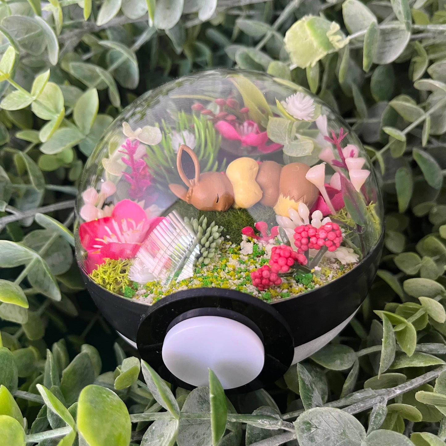 Eevee Pokeball Terrarium