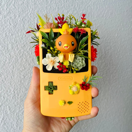 Torchic Gameboy Terrarium