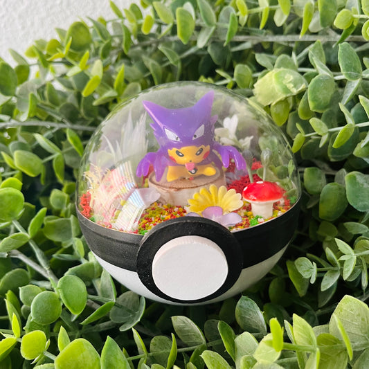 Pikachu Haunter Cosplay Pokeball Terrarium