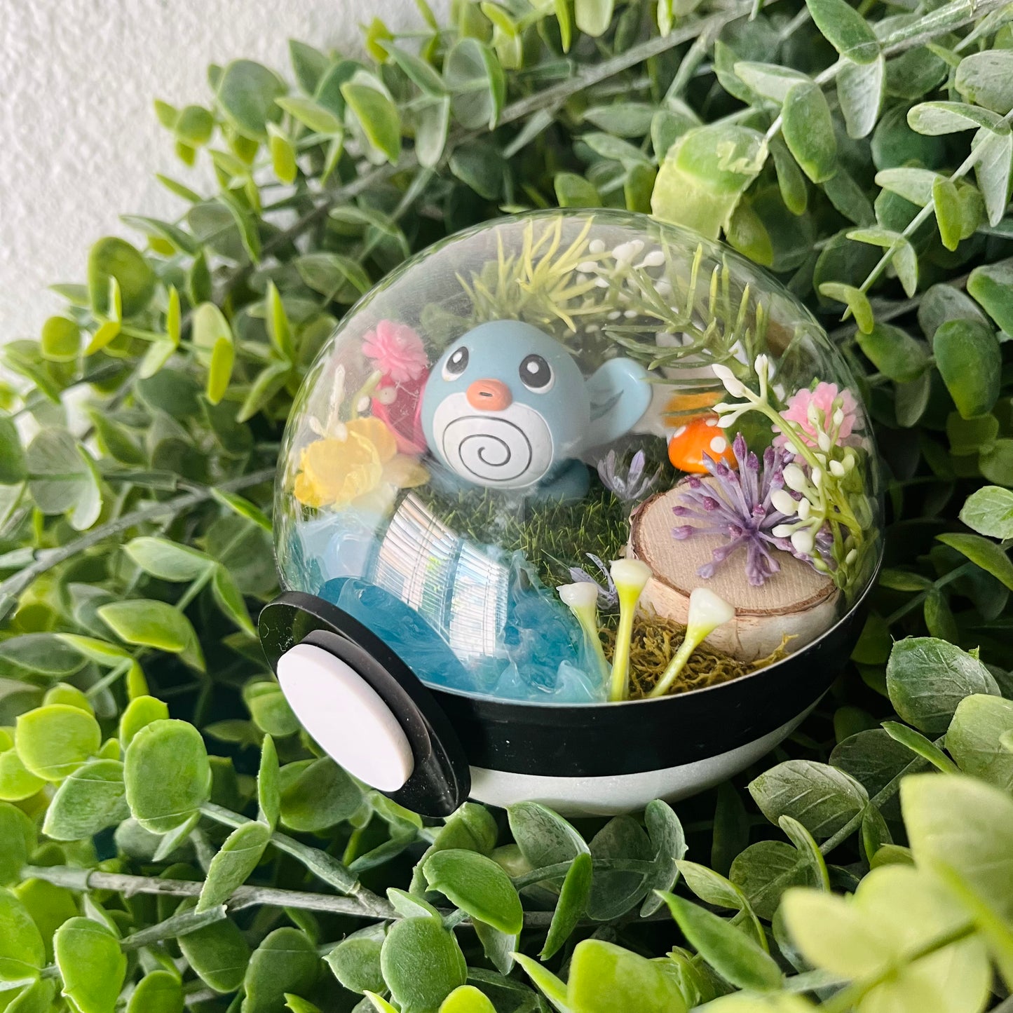 Poliwag Pokeball Terrarium