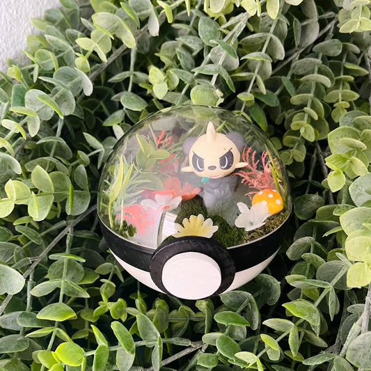 Pancham Pokeball Terrarium