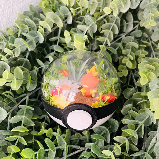 Torchic Pokeball Terrarium