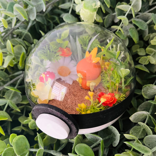 Torchic Pokeball Terrarium