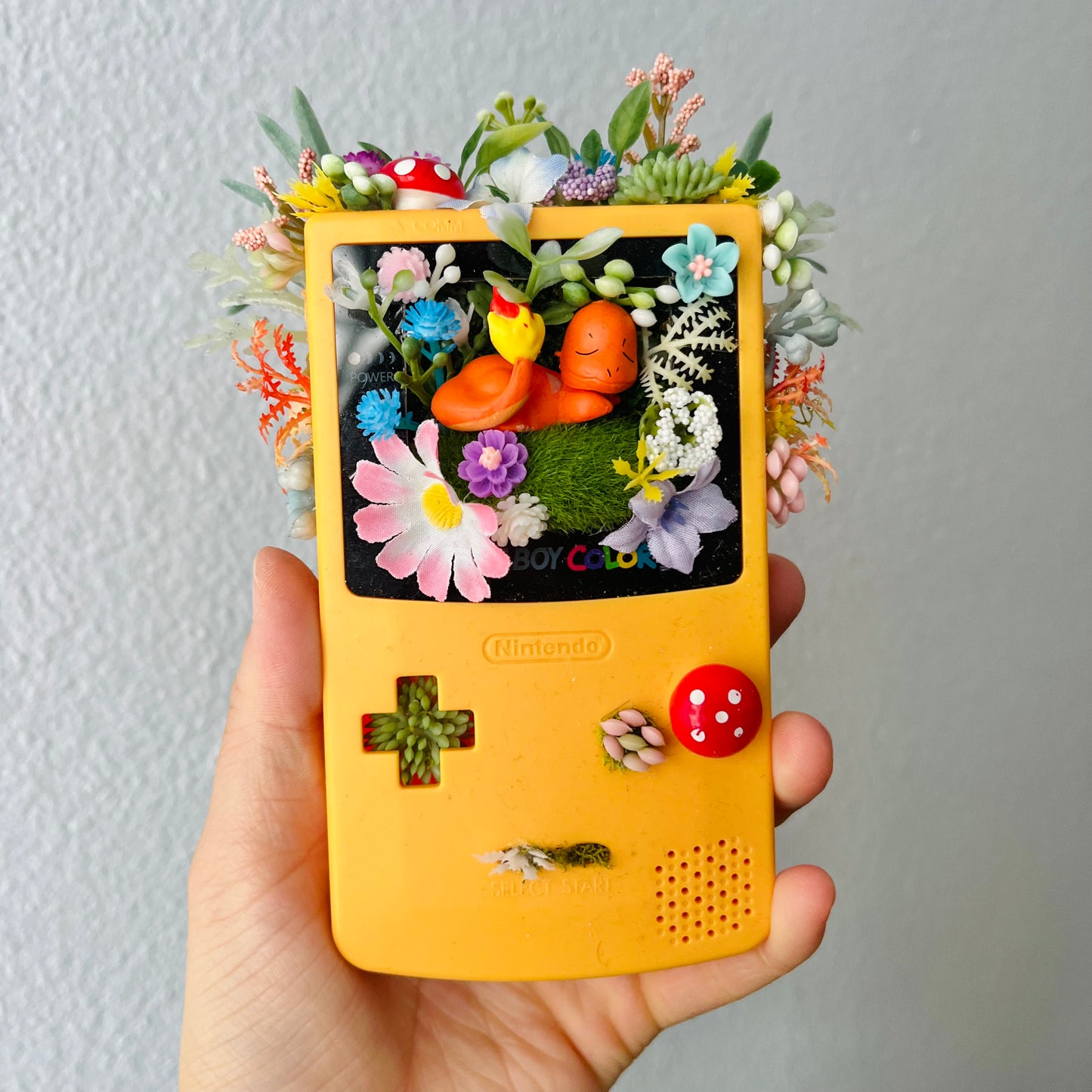 Charmander Gameboy Terrarium
