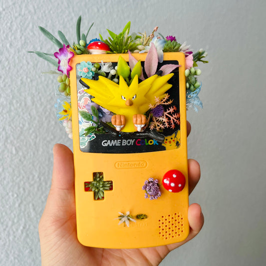 Zapdos Gameboy Terrarium
