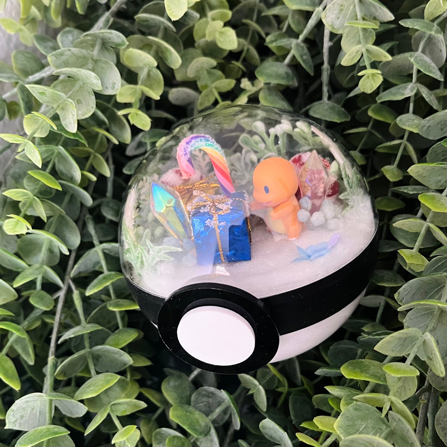 Charmander Pokeball Terrarium
