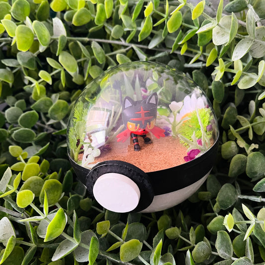 Litten Pokeball Terrarium