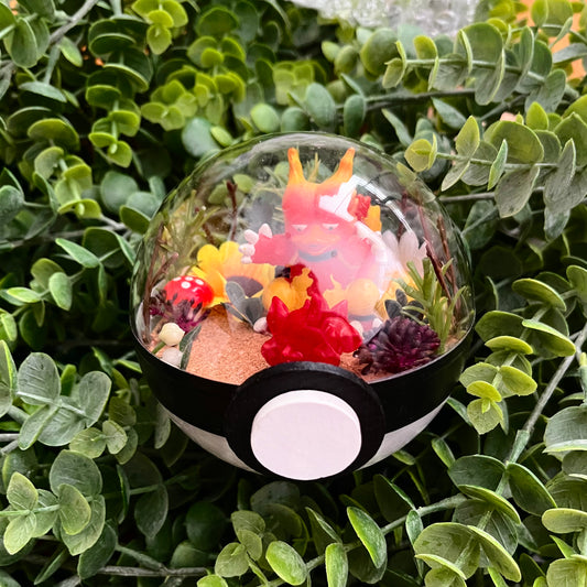 Magmar Pokeball Terrarium