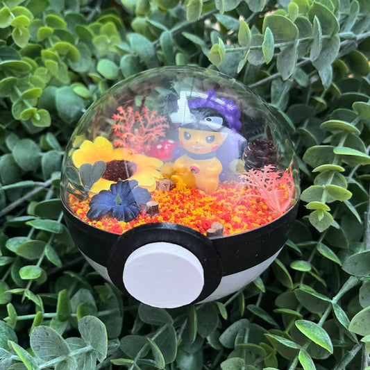 Pikachu Gastly Cosplay Pokeball Terrarium