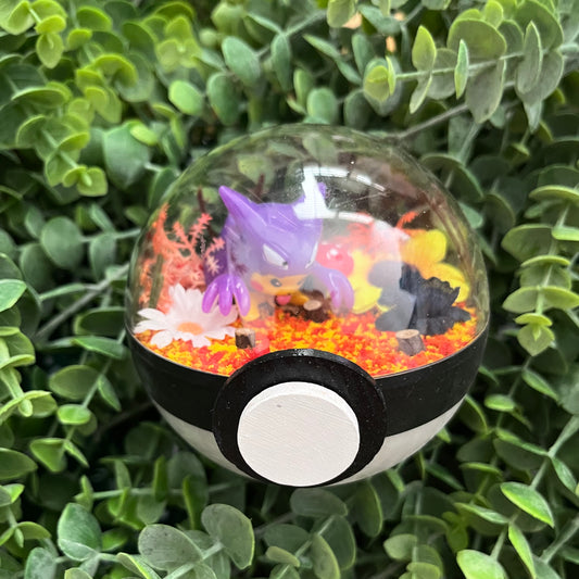 Pikachu Haunter Cosplay Pokeball Terrarium