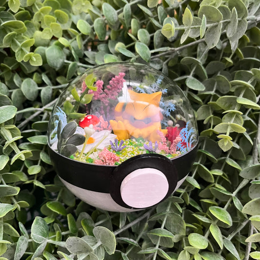Abra Pokeball Terrarium