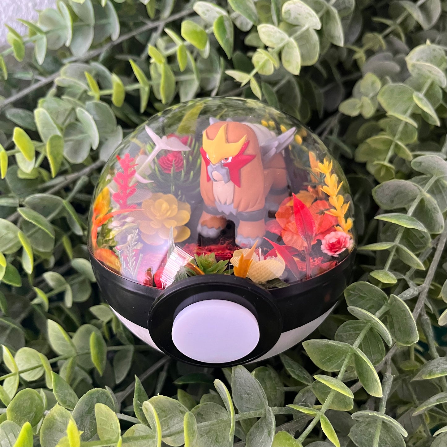 Entei Pokemon Terrarium
