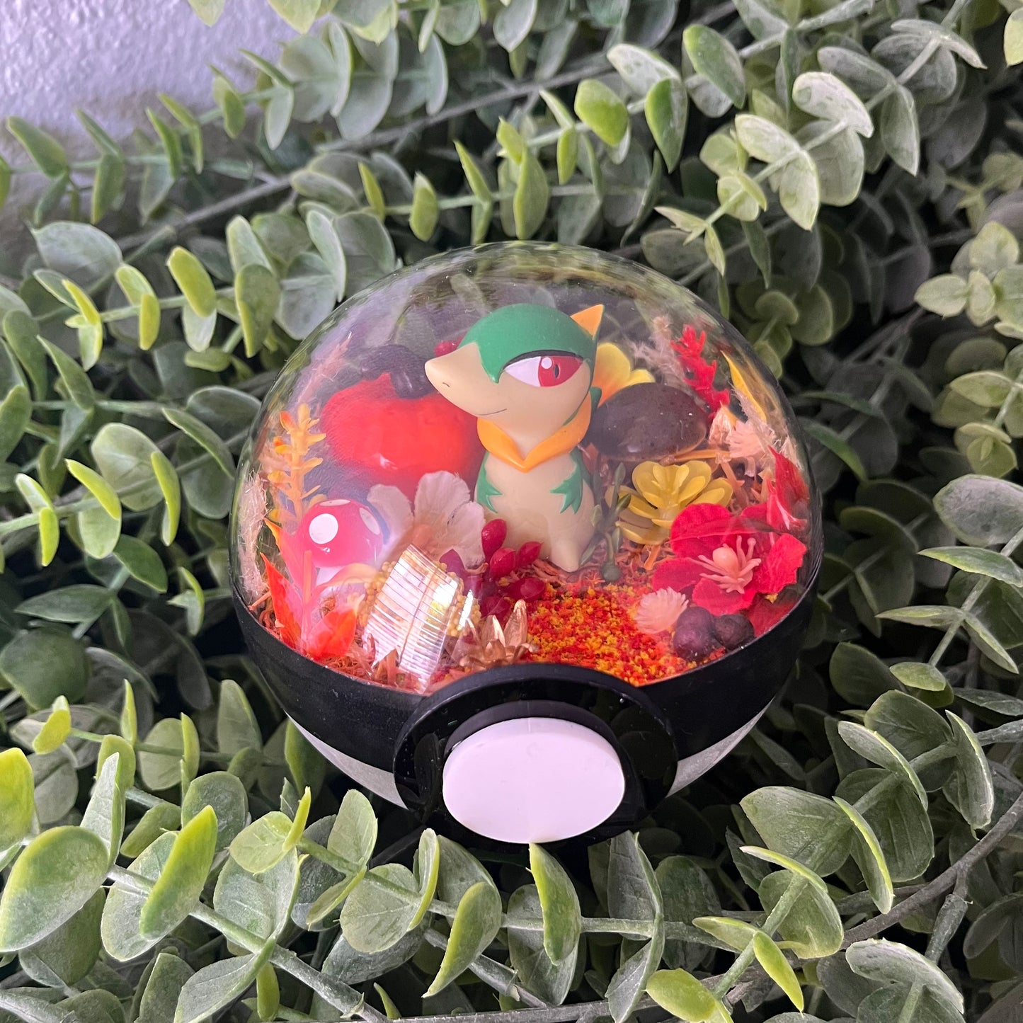 Servine Pokeball Terrarium