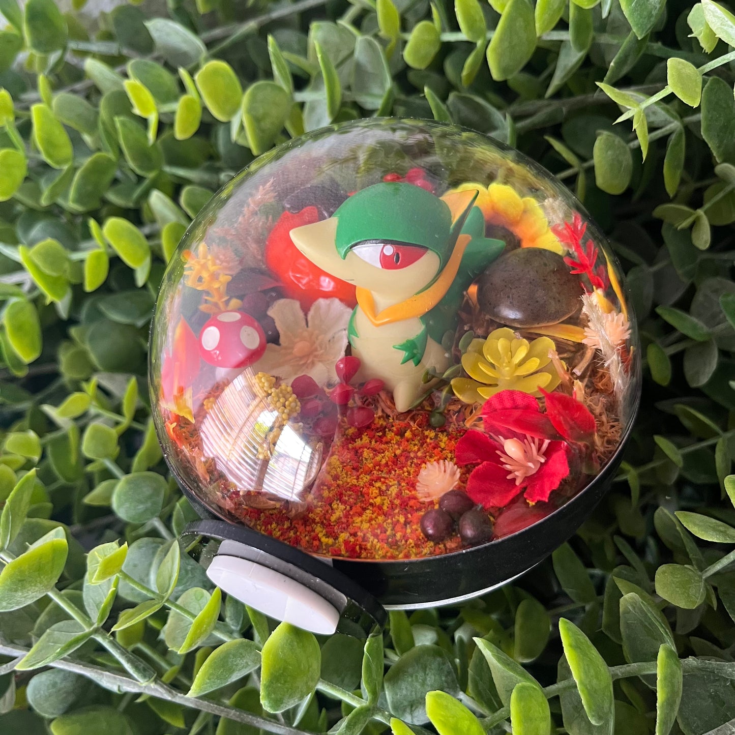 Servine Pokeball Terrarium