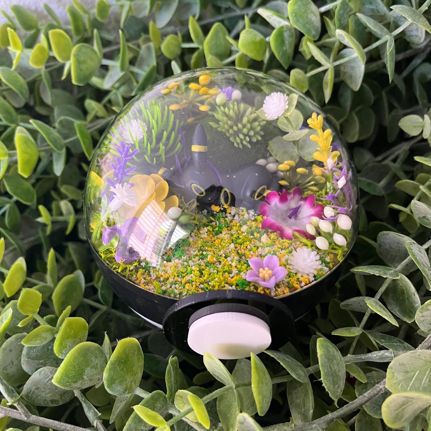 Umbreon Pokeball Terrarium