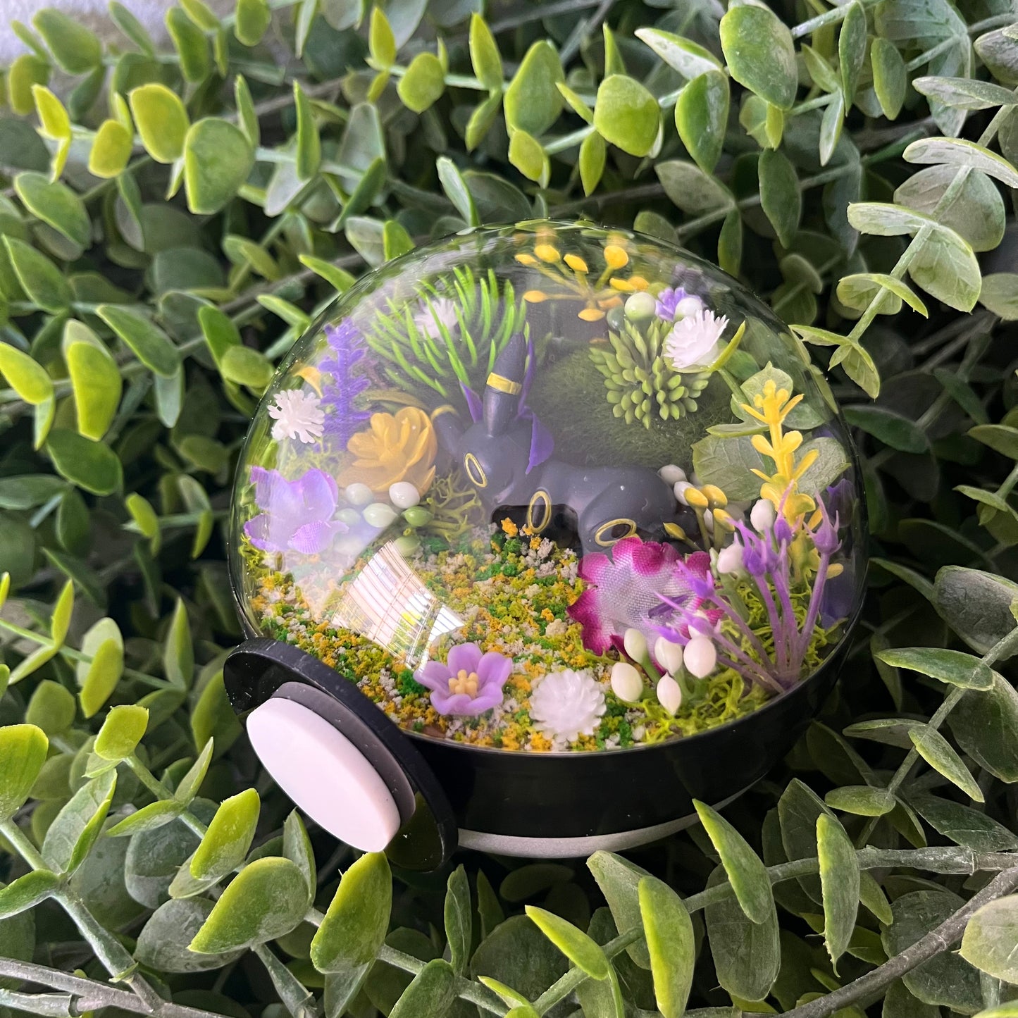 Umbreon Pokeball Terrarium