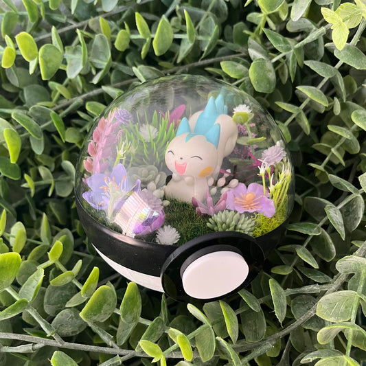 Pachirisu Pokeball Terrarium