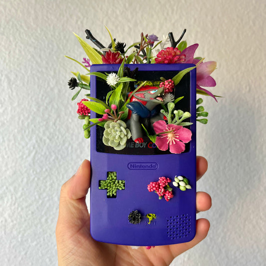 Zoroark Gameboy Terrarium