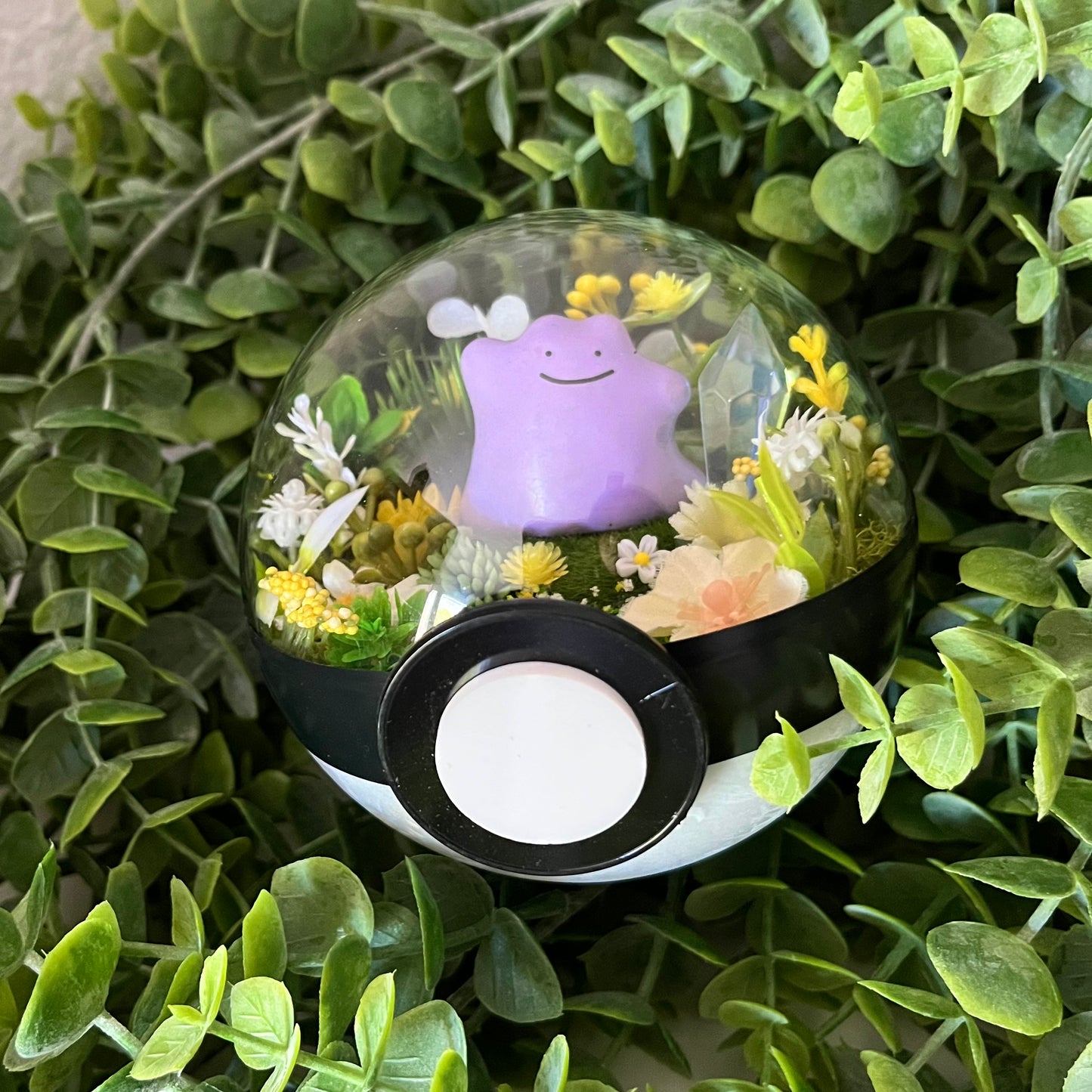 Ditto Pokeball Terrarium