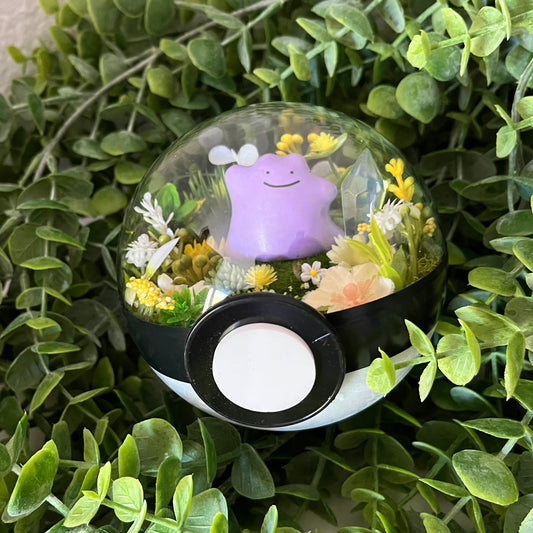 Ditto Pokeball Terrarium