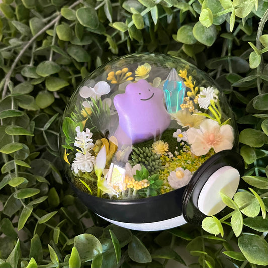Ditto Pokeball Terrarium