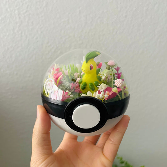 Bayleaf Pokeball Terrarium