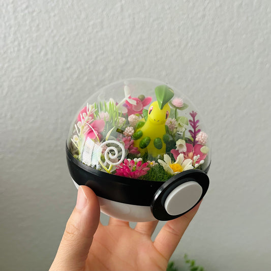 Bayleaf Pokeball Terrarium