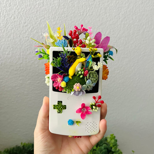 Ampharous Gameboy Terrarium