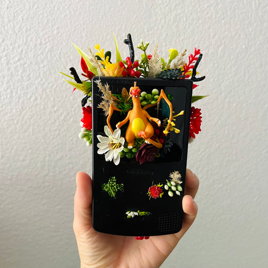 Charizard Gameboy Terrarium