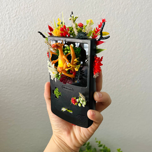 Charizard Gameboy Terrarium