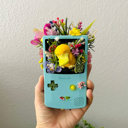 Psyduck Gameboy Terrarium