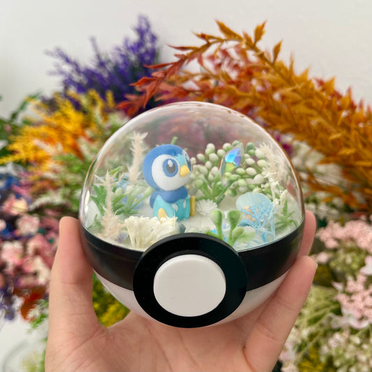 Piplup Pokeball Terrarium