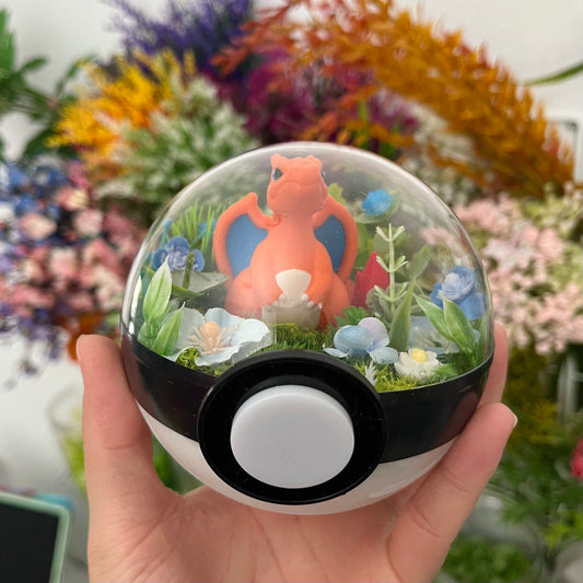 Charizard Pokeball Terrarium