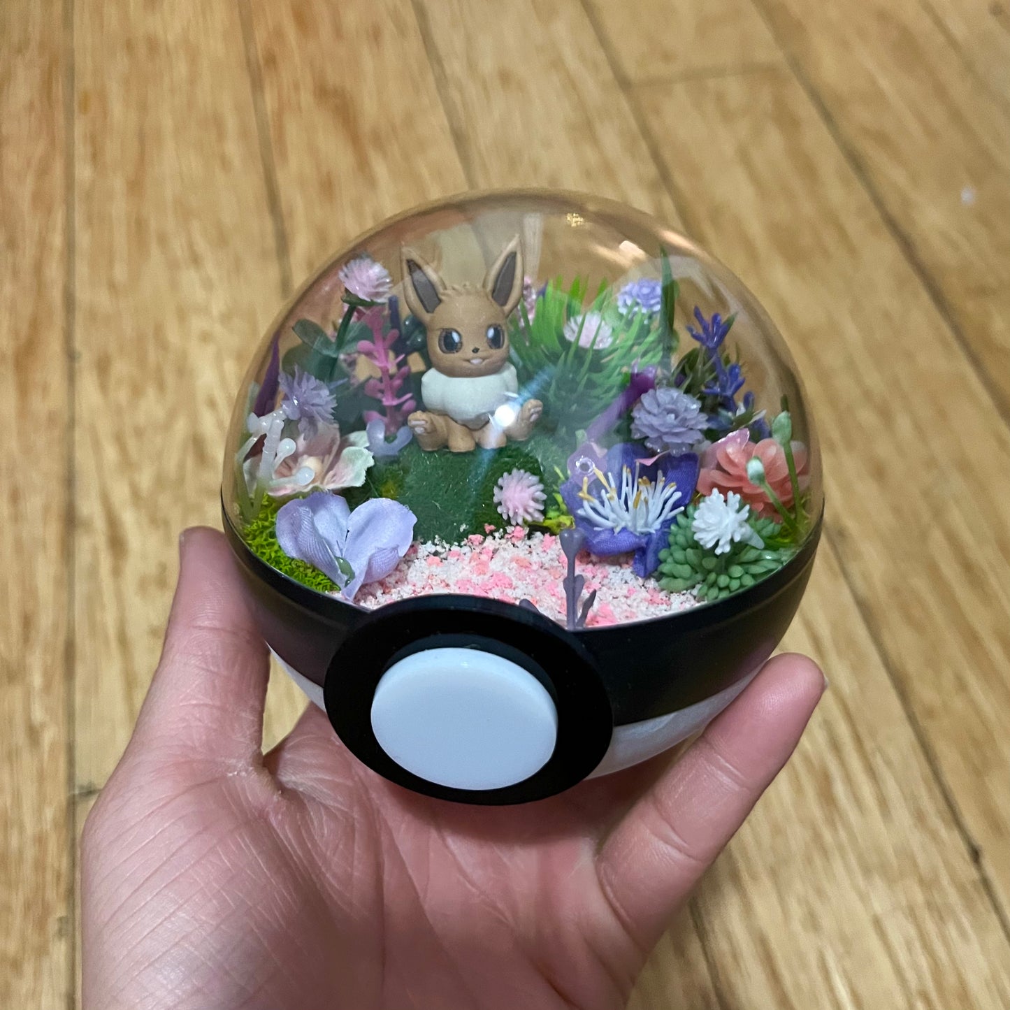 Eevee Pokeball Terrarium