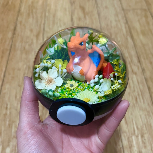 Charizard Pokeball Terrarium