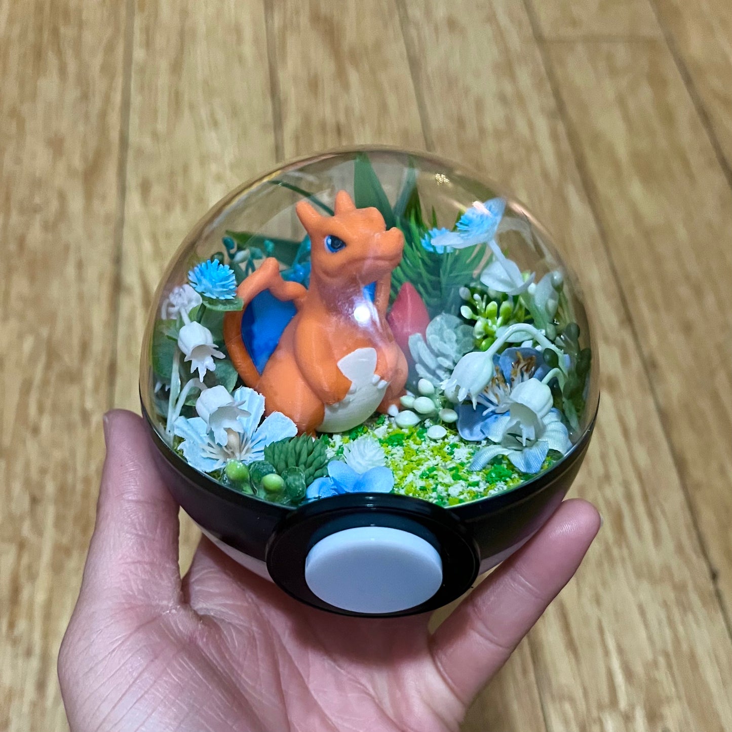 Charizard Pokeball Terrarium