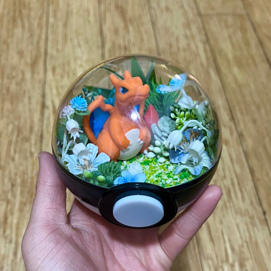 Charizard Pokeball Terrarium