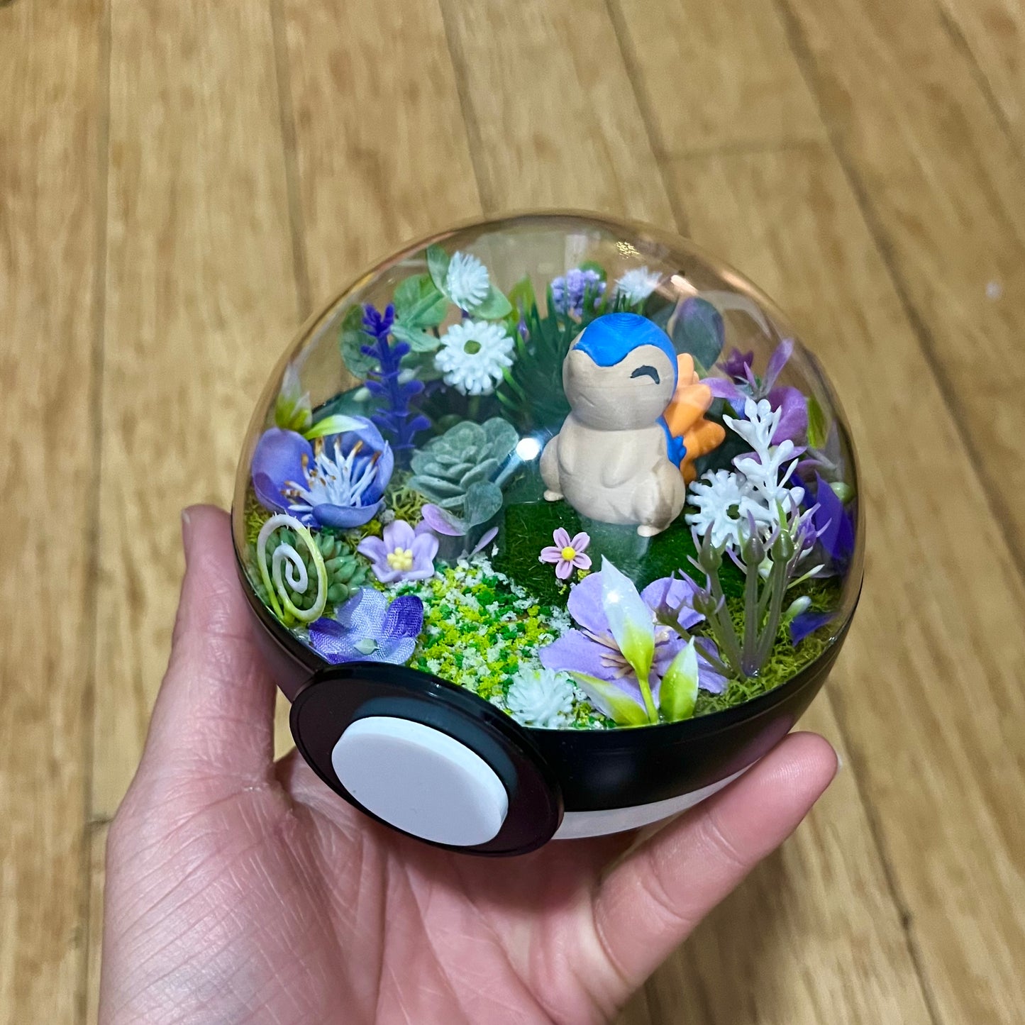 Cyndaquil Pokeball Terrarium