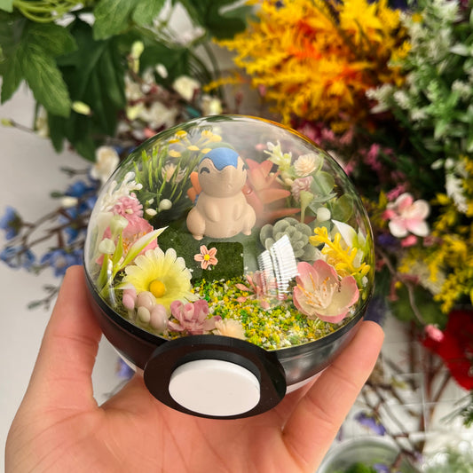 Cyndaquil Pokeball Terrarium